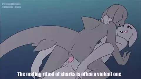 Shark Week - (Sound/4K) [Whygena]