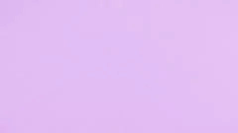 HMV NyanNyan Club's Three-way Course (Pasties) [ブラン]