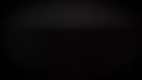 Yelan International Exchange Preview