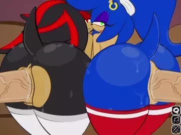Sonic & Shadow