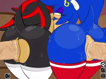 Sonic & Shadow
