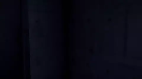 【Ray-mmd】Azur Lane sex(Jail) (@dt115)