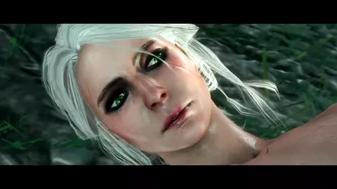 Ciri solo commission (Witcher futa)