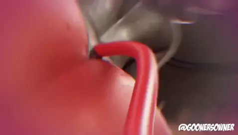 18 minutes of nsfw furry edits I’ve found