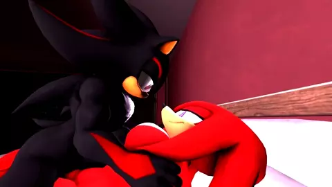 Knuckles x shadow by killerchidna