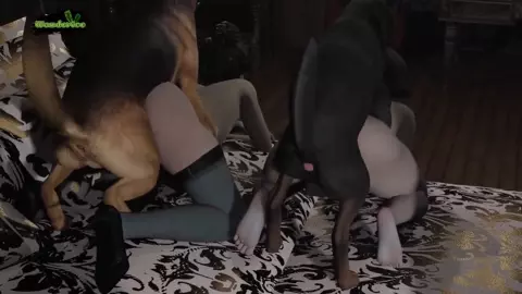 Resident Evil x Dog Party