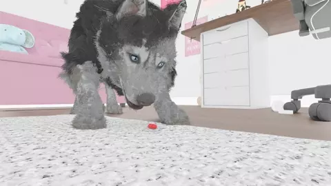 My dog is acting weird by baddragon666