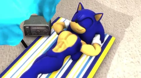 Sonic and Rouge Sex In The Beach