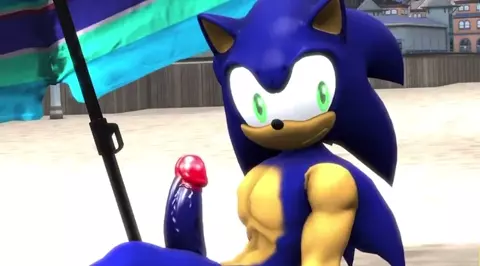 Sonic and Rouge Sex In The Beach