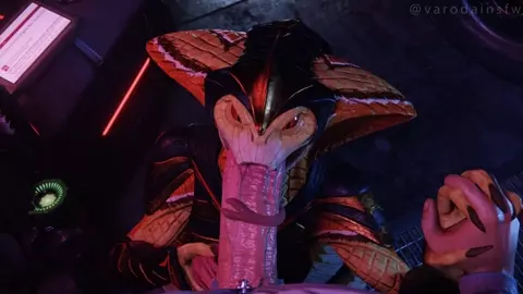 Torque & Viper『Varodai』