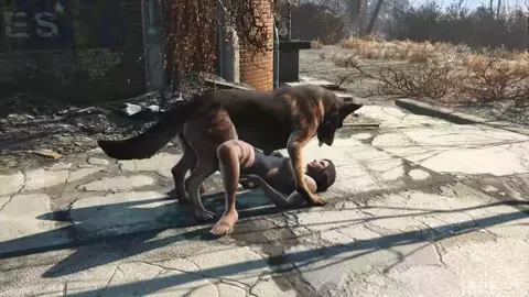 Nora needs Dog meat in her pussy