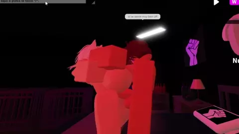 A Night With A Kitten