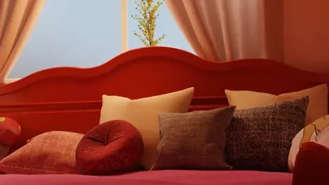 Vanilla New Girfriend