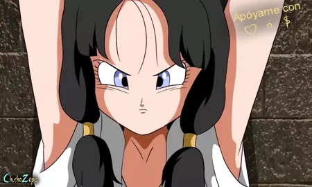 Videl (mini)