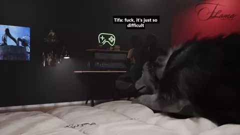 Tifa dog donation | [FLAMA]