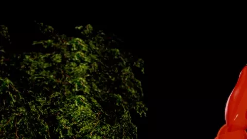 Big bad wolf by mihan44