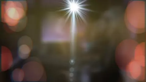 Leonardo Shadow: Sexiest Gym Lion