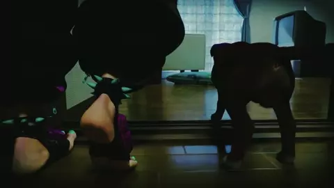 Juri Han x Dog (trailer)