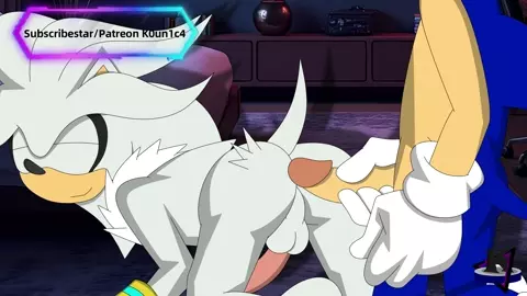 Sonic x Silver