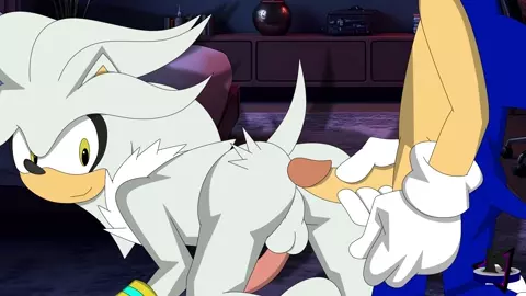 Sonic x Silver