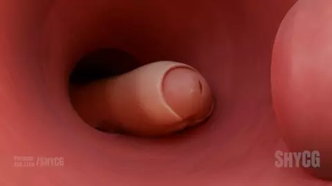 Futa Teen Creampies busty Milf (Lingerie Pubes)