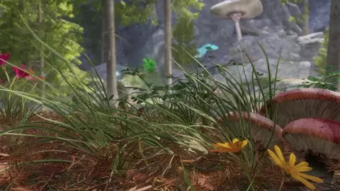 Hailey - A Night To Remember - Preview