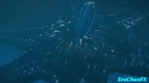 Escoffier tentacled underwater