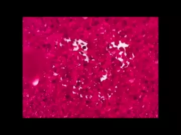 Asterisk dating game - pmv - rouge after dark