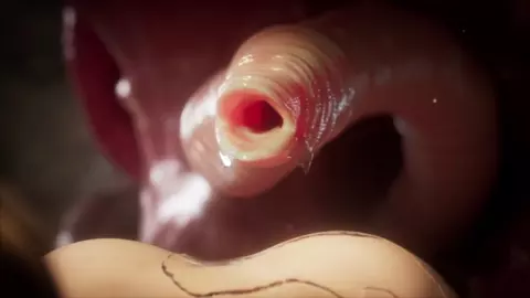 Jill Valentine Hunter Doggystyle Alternative Audio