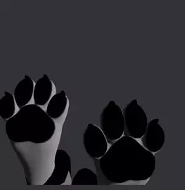 paws arf