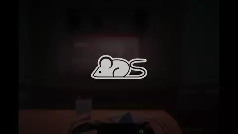 SLUT MITA | MISIDE HMV/PMV