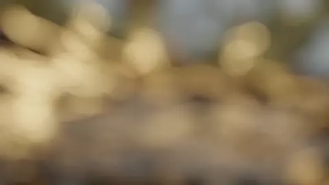 Fucking a giant thick slug women