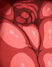 Meowscarada 2 - (Film/X-ray) [Domisket]