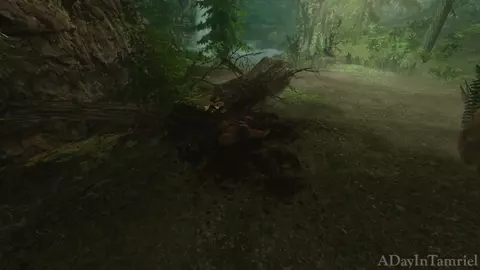 A Day In Tamriel: Guard Duty Part 1