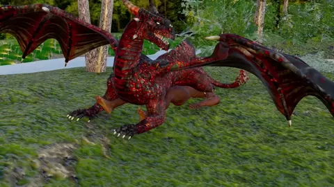 Dragon Vagina Sex Test