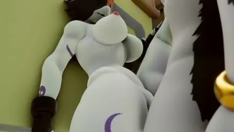 Cate Meowdy and Meowskulls in the beach full