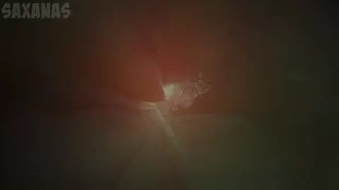 Anal vore by saxanas