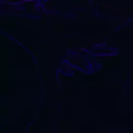 that pussy got power - hydrafxx edit