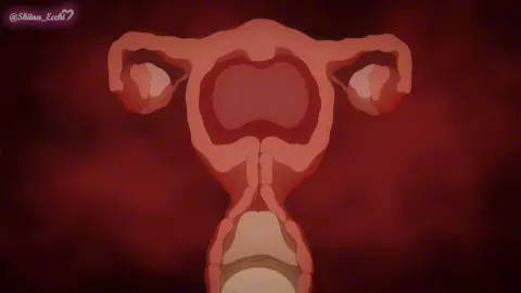 Fenry Animation Smooth Pov