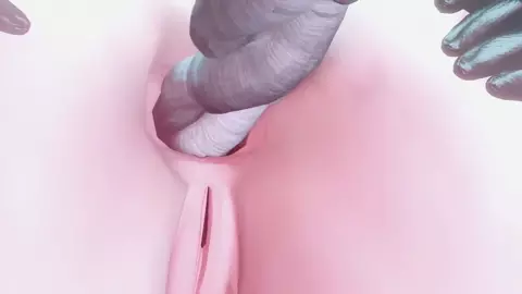 [FOW-013] First Assembly - Sub Español