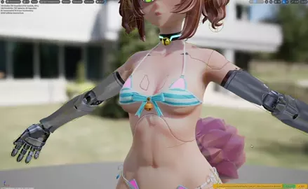 What do you think of Silicas bra purrfection?