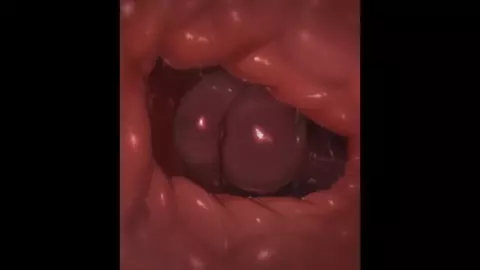 Deltarune Hentai Compilation