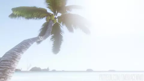 Land of Kirei_ A Vore Tournament Full