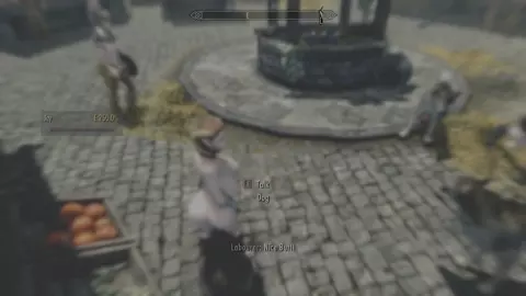 feral on futa in the streets of whiterun!!