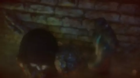 A Lone Spy, Isolated