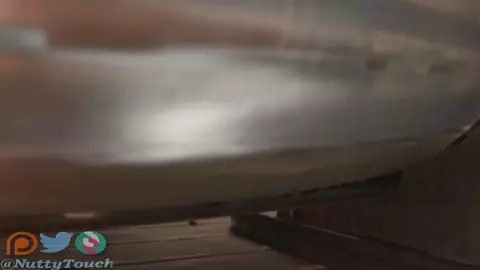 The Stowaway [Futa/Fem] [NuttyTouch]