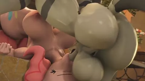 Zebras On Ponnies - PMV | DERRRRR