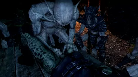 The Argonian Thief 2