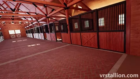 Mare Fisting | VR Stallion Gameplay