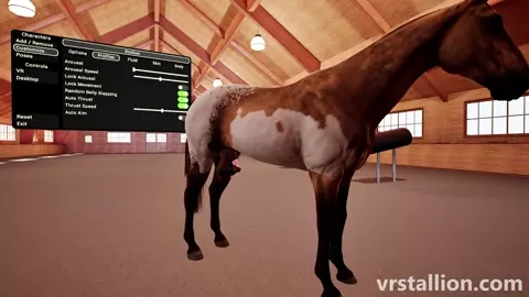 Bellyslapping & Pissing | VR Stallion